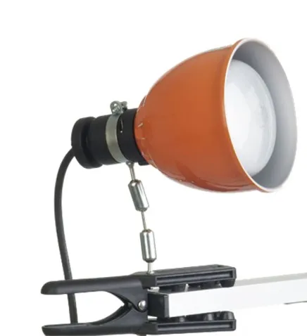 [SDC08060019] Foco Tungsteno Ianiro Photoflood 500 W con pinza