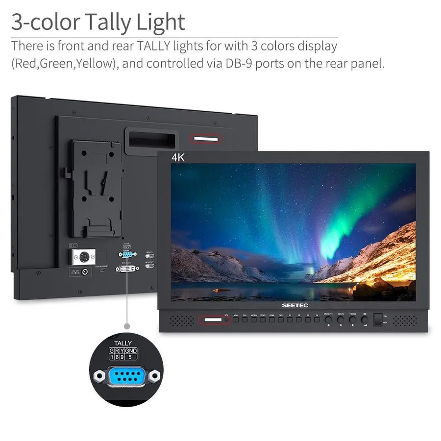 [SDC0601090009] Monitor 17.3" 4K SEETEC P173-9HSD Monitor de director